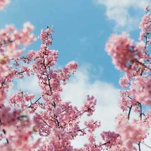 国产高清在线精品一区
